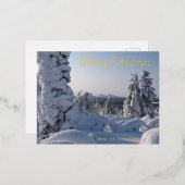 Besneeuwde winterlandschap Kerstmis Folie Feestdagen Briefkaart (Voorkant / Achterkant)