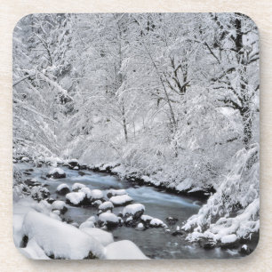 Besneeuwde witte kreek Scenic, Oregon Bier Onderzetter