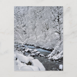 Besneeuwde witte kreek Scenic, Oregon Briefkaart