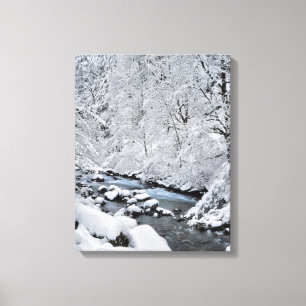 Besneeuwde witte kreek Scenic, Oregon Canvas Afdruk