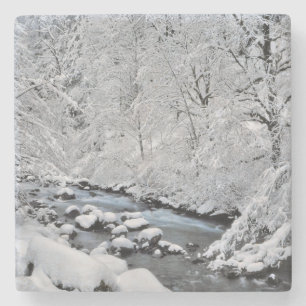 Besneeuwde witte kreek Scenic, Oregon Stenen Onderzetter