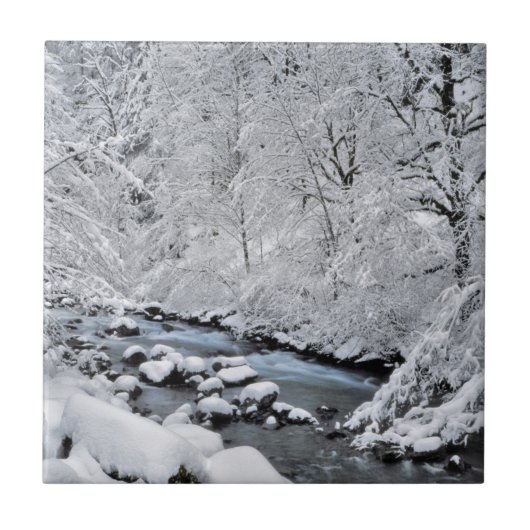 Besneeuwde witte kreek Scenic, Oregon Tegeltje (Voorkant)