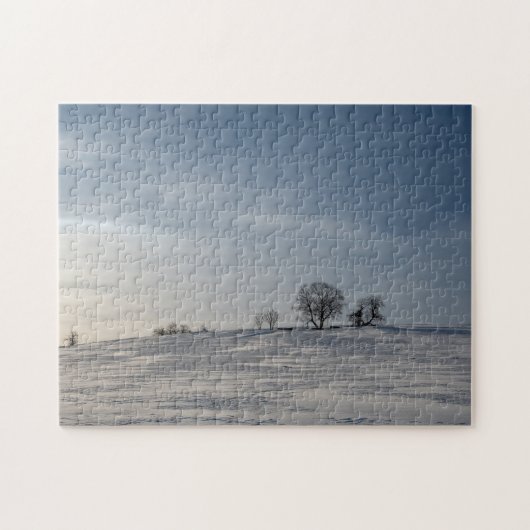 Besneeuws landschap legpuzzel (Horizontaal)