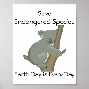 Bespaar bedreigde diersoorten Koala Poster