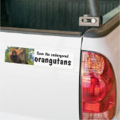 Bespaar bedreigde orangutanen bumpersticker (Op Truck)