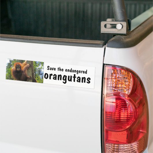Bespaar bedreigde orangutanen bumpersticker (Op Truck)