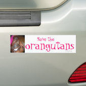Bespaar bedreigde soorten : orang-oetans bumpersticker (Op auto)