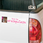 Bespaar bedreigde soorten : orang-oetans bumpersticker (Op Truck)