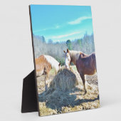 Bespaar conceptpaarden die hooi eten fotoplaat (Zijkant)