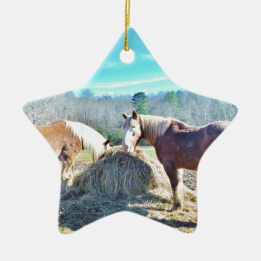 Bespaar conceptpaarden die hooi eten keramisch ornament (Voorkant)