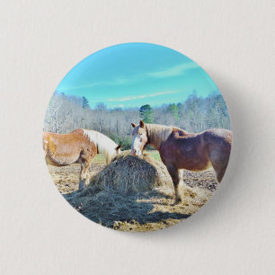 Bespaar conceptpaarden die hooi eten ronde button 5,7 cm