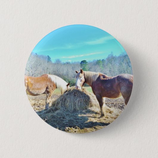 Bespaar conceptpaarden die hooi eten ronde button 5,7 cm (Voorkant)