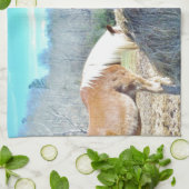 Bespaar conceptpaarden die hooi eten theedoek (Gevouwen)