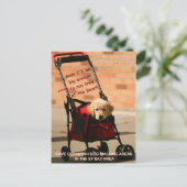 Bespaar de Dog die de senator Boxer afloopt! Briefkaart (Staand voorkant)