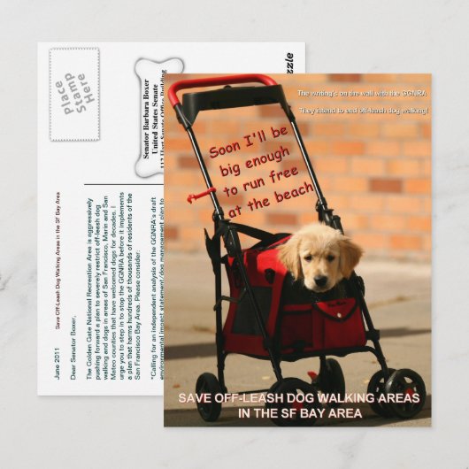 Bespaar de Dog die de senator Boxer afloopt! Briefkaart (Voorkant / Achterkant)