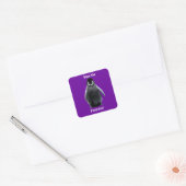 BESPAAR DE PENGUINES Wildlife Support Stickers (Envelop)