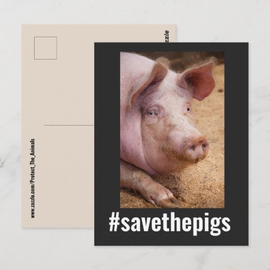 BESPAAR DE PIGS PIG VEGAN BRIEFKAARTEN (Voorkant / Achterkant)