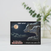 BESPAAR DE WOLVES! - BRIEFKAART (Staand voorkant)