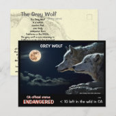 BESPAAR DE WOLVES! - BRIEFKAART (Voorkant / Achterkant)