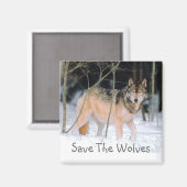 BESPAAR DE WOLVES MAGNEET (Voorkant / Achterkant)