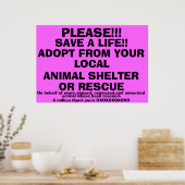 BESPAAR EEN LEVEN-ADOPT! POSTER (Keuken)