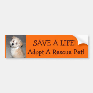 BESPAAR EEN LEVEN!, neem een redding .Pet!.. Bumpersticker
