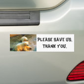 BESPAAR ONS DANK U DE Bumpersticker van Beer (Op auto)