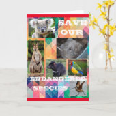 Bespaar onze bedreigde soorten kaart (Gele Bloem)