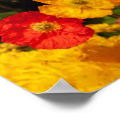 Bespaar onze prachtige planeet , heldere bloemen poster (Hoek)