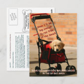 Bespaar op de losse Dog Walking Congreslid Pelosi! Briefkaart (Voorkant / Achterkant)