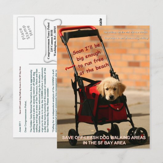 Bespaar op de losse Dog Walking Congreslid Pelosi! Briefkaart (Voorkant / Achterkant)