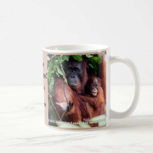 Bespaar orangutanen bedreigd dier koffiemok (Rechts)
