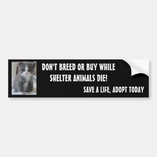 BESPAAR SHELTER DIEREN... BUMPERSTICKER