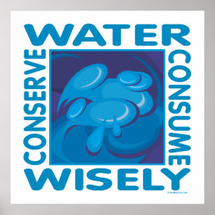 Bespaar water - Wisely gebruiken Poster