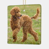 Bespeelde rode poradepuppy dog keramisch ornament (Links)
