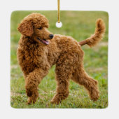 Bespeelde rode poradepuppy dog keramisch ornament (Achterkant)