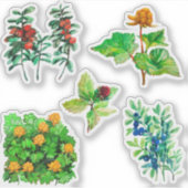 Bessen, bosbes, lingonberry, cloudberry sticker (Voorkant)