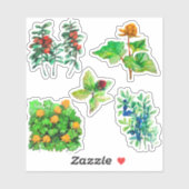 Bessen, bosbes, lingonberry, cloudberry sticker (Vel)