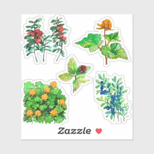 Bessen, bosbes, lingonberry, cloudberry sticker (Vel)