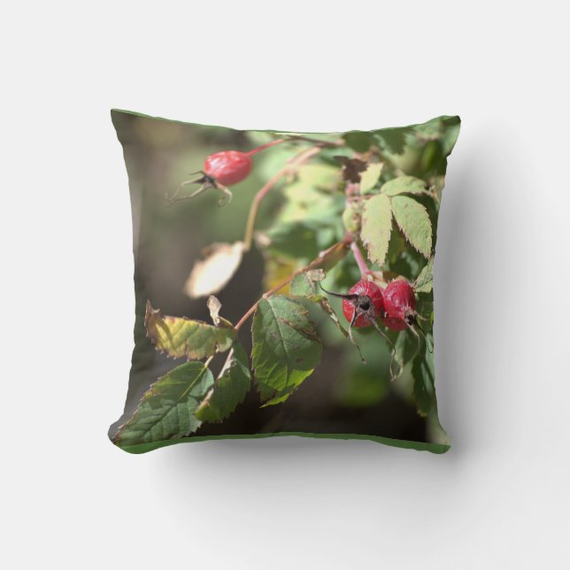 bessen kussen (Voorkant)