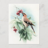 Bessen om te eten briefkaart (Voorkant)