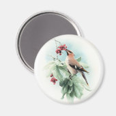 Bessen om te eten magneet (Voorkant / Achterkant)