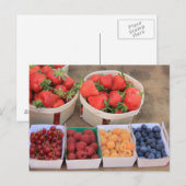 Bessen op de markt briefkaart (Voorkant / Achterkant)