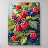 Bessenstruik Frambozen Braambessen Aquarel Fruit Poster (Voorkant)