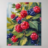 Bessenstruik Frambozen Braambessen Aquarel Fruit Poster (Voorkant)