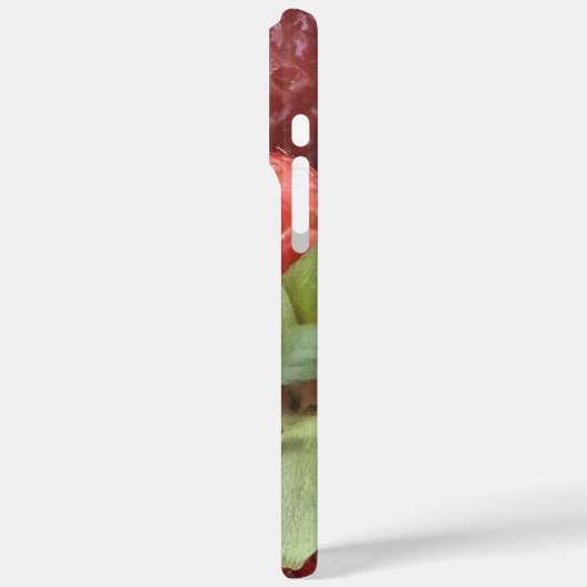 bessentelefoonhoesje Case-Mate iPhone case (Achterkant / Links)