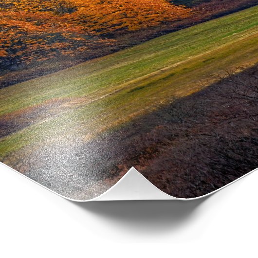 Bessner Barn Guemes Island Foto Afdruk (Hoek)