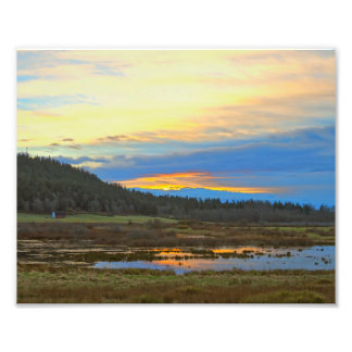 Bessner Barn - Guemes Valley - Guemes Island Foto Afdruk