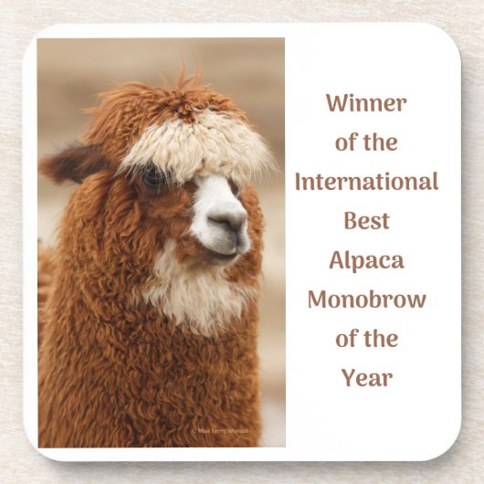 Best Alpaca Monobrow Bier Onderzetter (Voorkant)