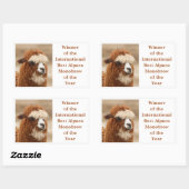 Best Alpaca Monobrow Rechthoekige Sticker (Vel)